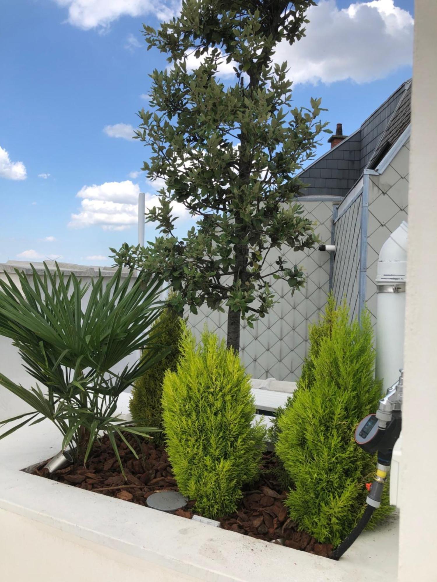 Margriet Apart-Suites Gent Exterior foto